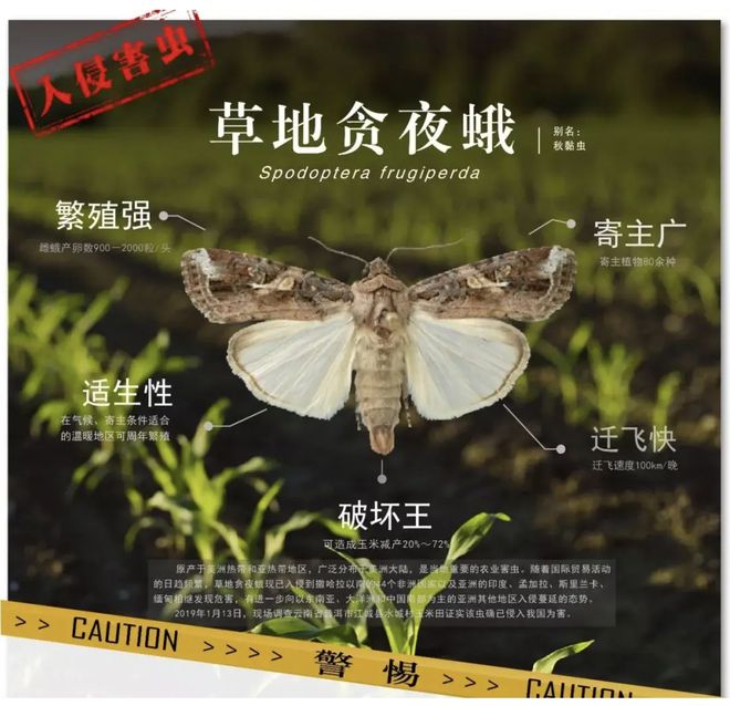 植物：如果我不抓紧“变异”那就是“待宰的羔羊”…(图2)