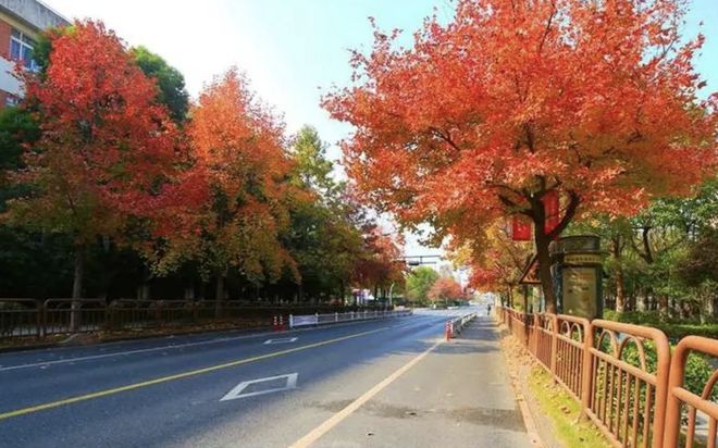植物：如果我不抓紧“变异”那就是“待宰的羔羊”…(图1)