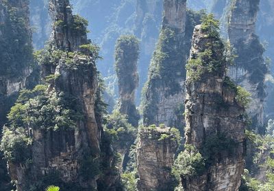 张家界家庭游攻略：三大旅行社特色 + 特产购物指南游玩更尽兴(图3)