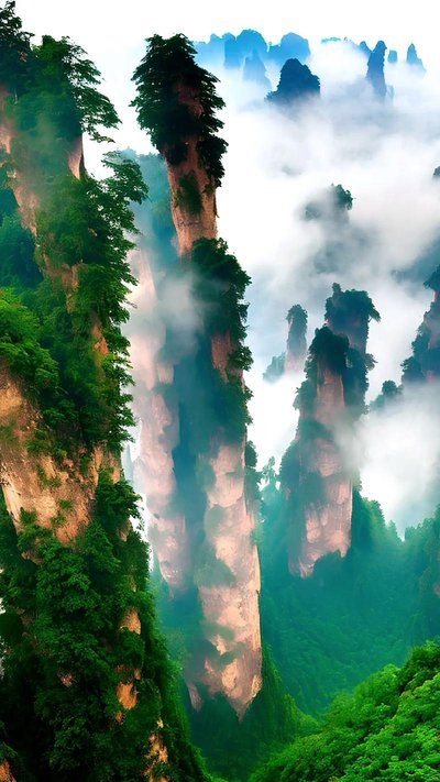 张家界家庭游攻略：三大旅行社特色 + 特产购物指南游玩更尽兴