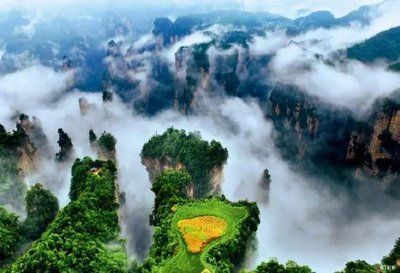 张家界家庭游攻略：三大旅行社特色 + 特产购物指南游玩更尽兴(图5)
