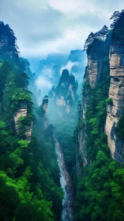 张家界家庭游攻略：三大旅行社特色 + 特产购物指南游玩更尽兴(图8)
