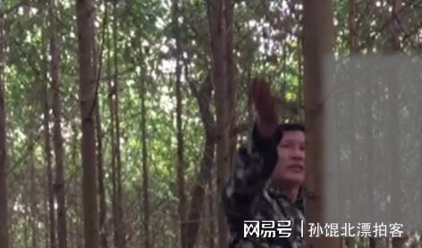 云南农民六年种植2200棵树成果至今难以变现(图11)