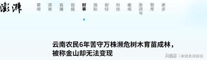 云南农民六年种植2200棵树成果至今难以变现(图26)