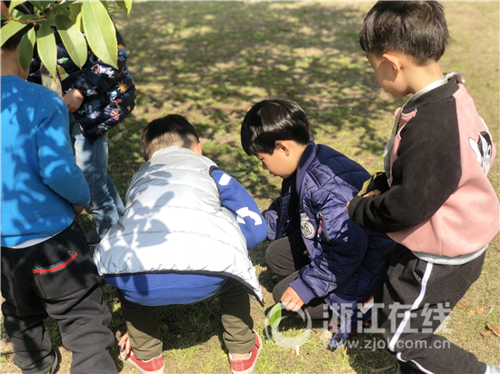 植树节来了！看杭州伢儿解锁N种和绿植交朋友的正确姿势(图5)