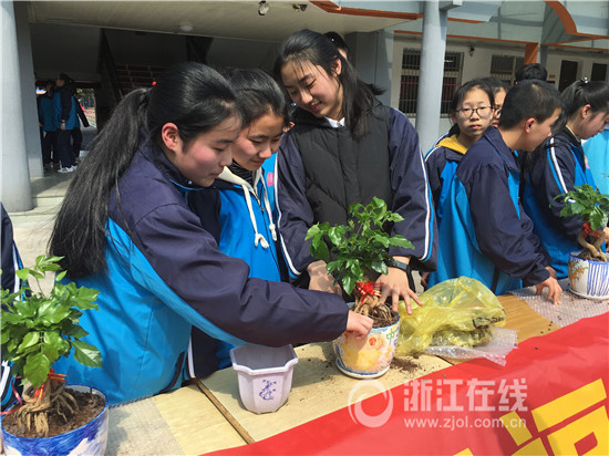 植树节来了！看杭州伢儿解锁N种和绿植交朋友的正确姿势(图8)