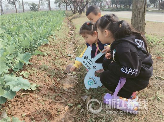 植树节来了！看杭州伢儿解锁N种和绿植交朋友的正确姿势(图11)