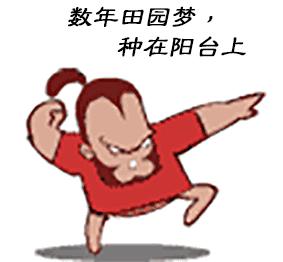 如何正确种植树苗？(图10)