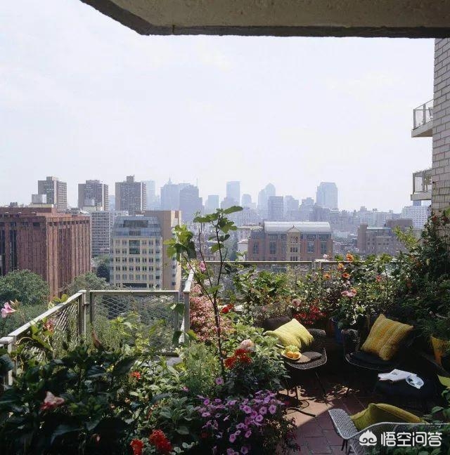 如何正确种植树苗？(图11)