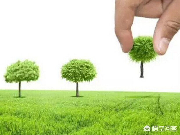 如何正确种植树苗？(图12)
