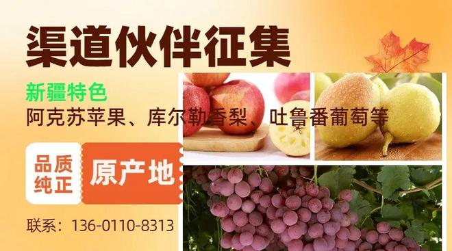 安徽宿州夹沟林场：从培育苗木转向发展林药(图1)