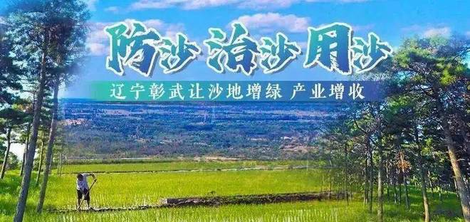 “我在彰武有棵树”万人次参与彰武生态研学火爆！(图7)