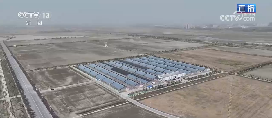 果树“打吊瓶”、无人驾驶播种机……科技“金钥匙”解锁乡村振兴新图景(图2)