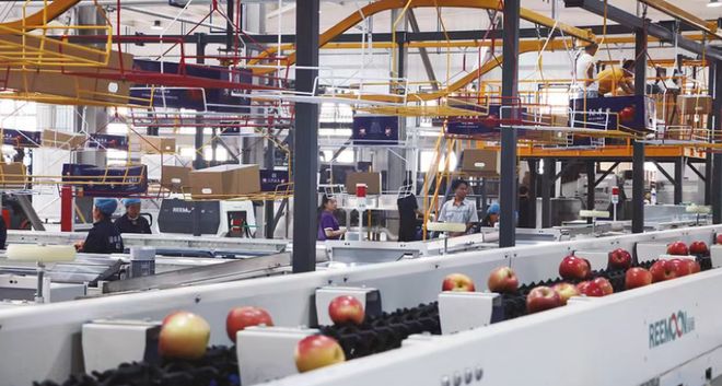 “宝鸡苹果”品牌价值5778亿元(图6)