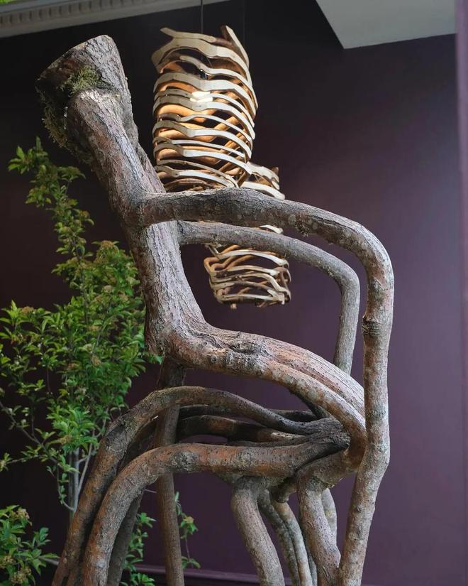 太硬核了！英国设计师用土壤种出全套家具6年才能收割一次！网友：24000一把椅子我不配等(图2)