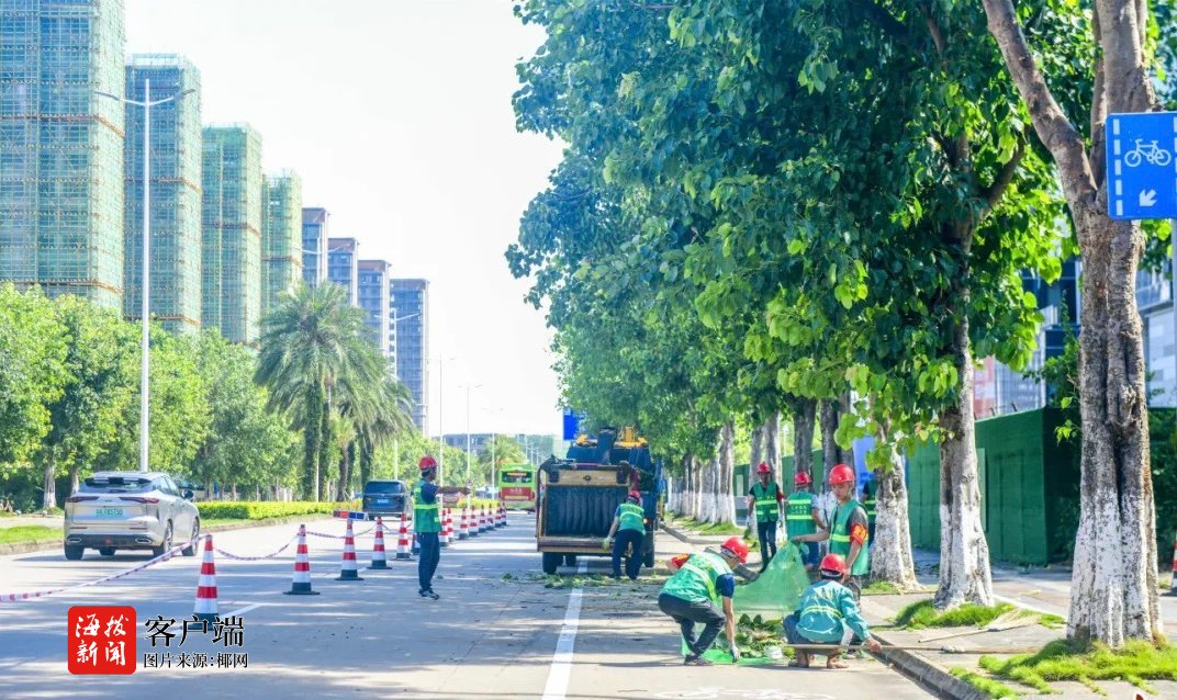 海口开展树木修剪高空作业观摩活动(图1)