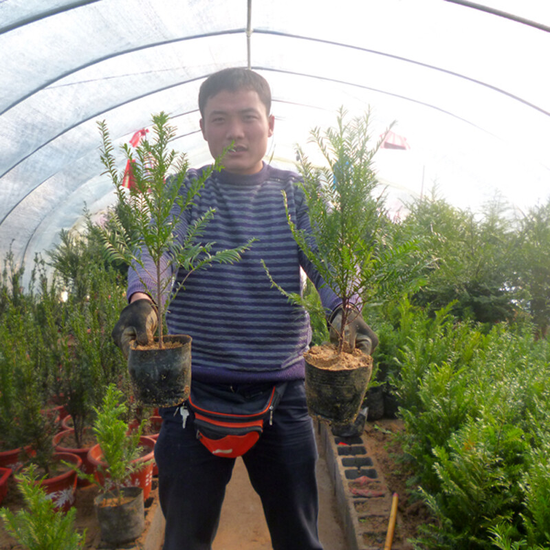 摩洛哥卡萨布兰卡国际园林展览会(GARDEN EXPO)(图1)