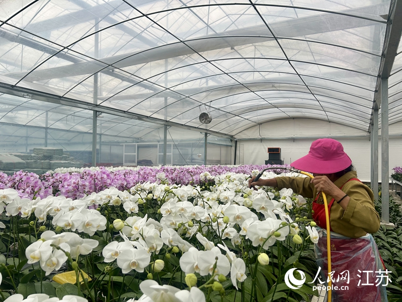 “美麗經濟”花開沭陽(图3)