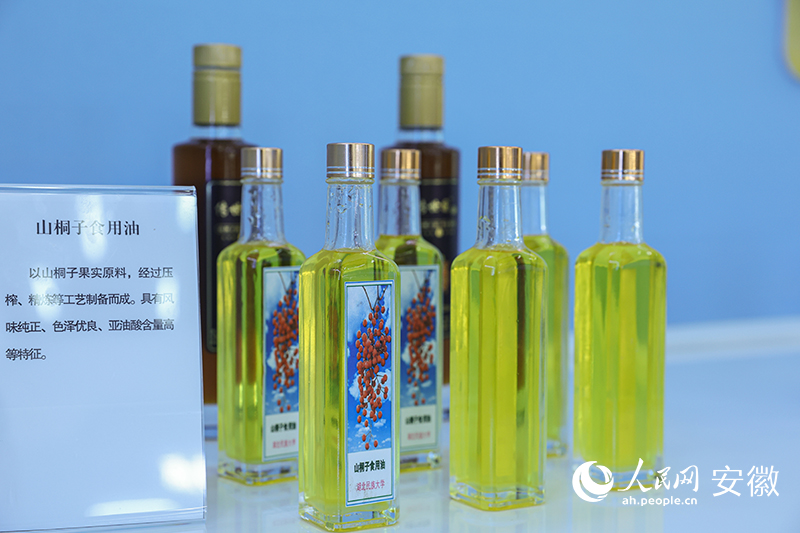 安徽旌德：引种山桐子 致富有路子(图3)