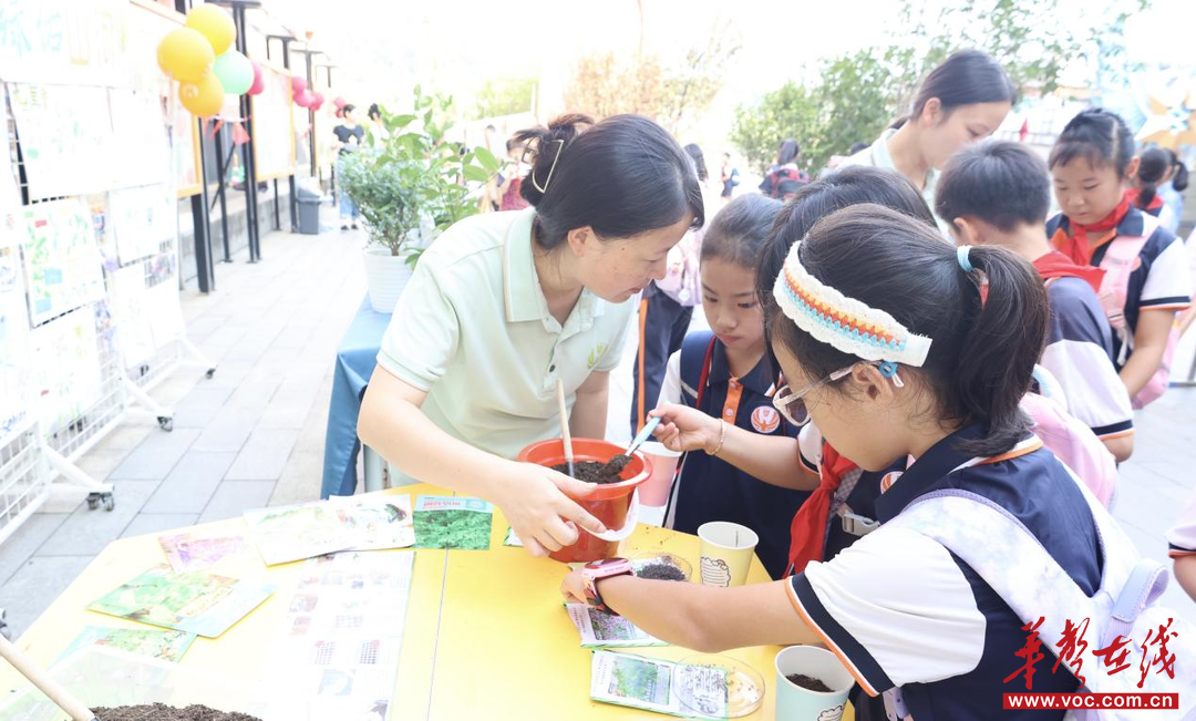 播撒和平种子 智育绿色未来 博才金鹰小学开学首日开启“智慧种植”新篇章(图1)