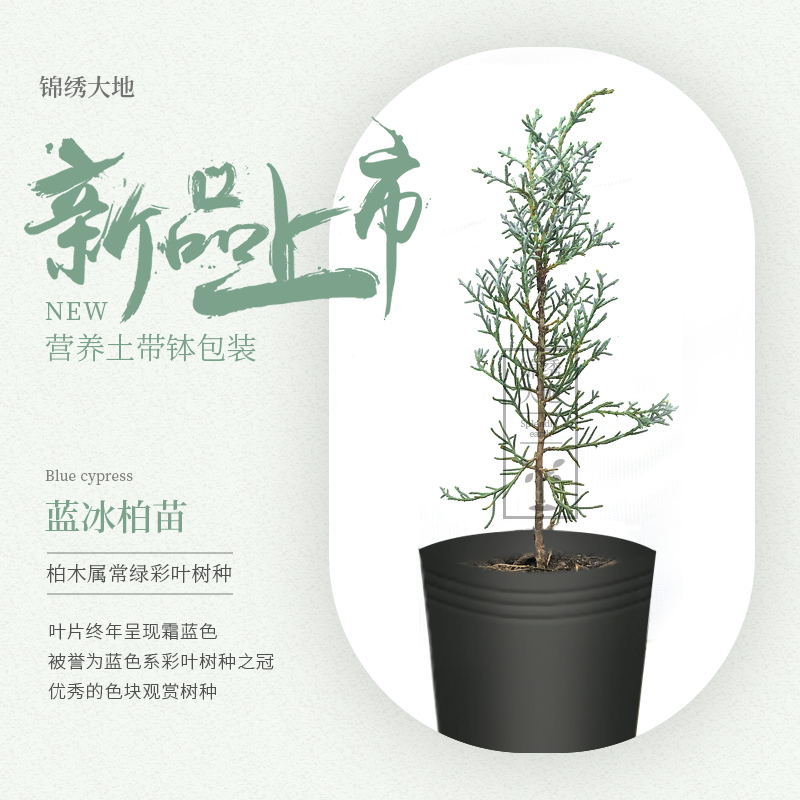 宜君“金果果”缀满枝头 “活水塘”育出增收新希望(图1)