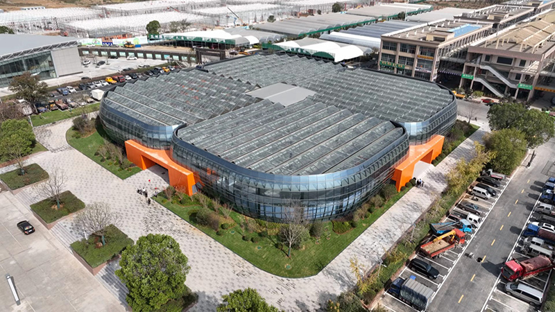 安徽向前丨花開肥西 苗木逢春(图1)