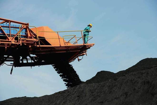 19年前山西煤老板豪掷6亿在荒漠种葡萄被嘲人傻钱多现怎样(图7)