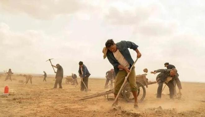 19年前山西煤老板豪掷6亿在荒漠种葡萄被嘲人傻钱多现怎样(图13)