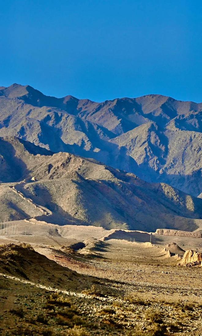 19年前山西煤老板豪掷6亿在荒漠种葡萄被嘲人傻钱多现怎样(图12)