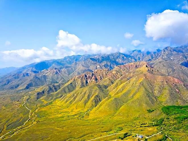 19年前山西煤老板豪掷6亿在荒漠种葡萄被嘲人傻钱多现怎样(图15)