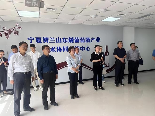 19年前山西煤老板豪掷6亿在荒漠种葡萄被嘲人傻钱多现怎样(图26)