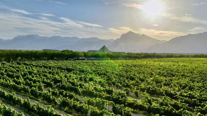 19年前山西煤老板豪掷6亿在荒漠种葡萄被嘲人傻钱多现怎样(图24)