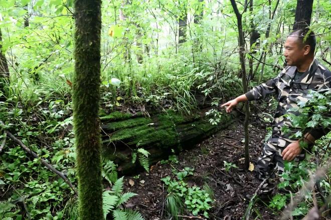 【重走抗联路】鹰窝抗联密营：白山黑水间书写壮烈史诗(图1)