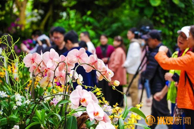2025中国（南昌）花园节十大精彩亮点抢“鲜”看(图10)