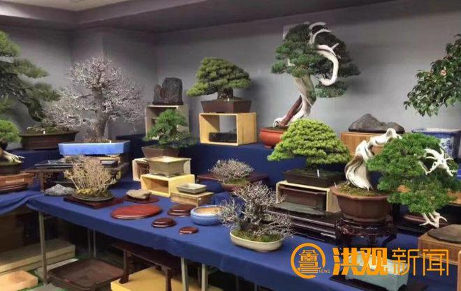 2025中国（南昌）花园节十大精彩亮点抢“鲜”看(图12)