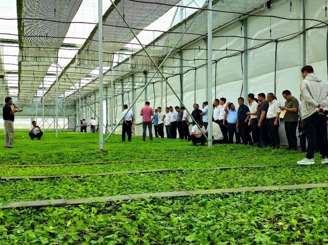 昔日小山村旧貌换新颜(图2)