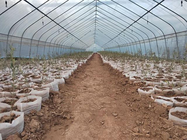 昔日小山村旧貌换新颜(图3)