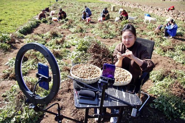 昔日小山村旧貌换新颜(图6)