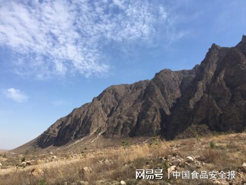 益海嘉里金龙鱼深耕蔚县十载：植绿筑屏障 产业赋新能(图3)