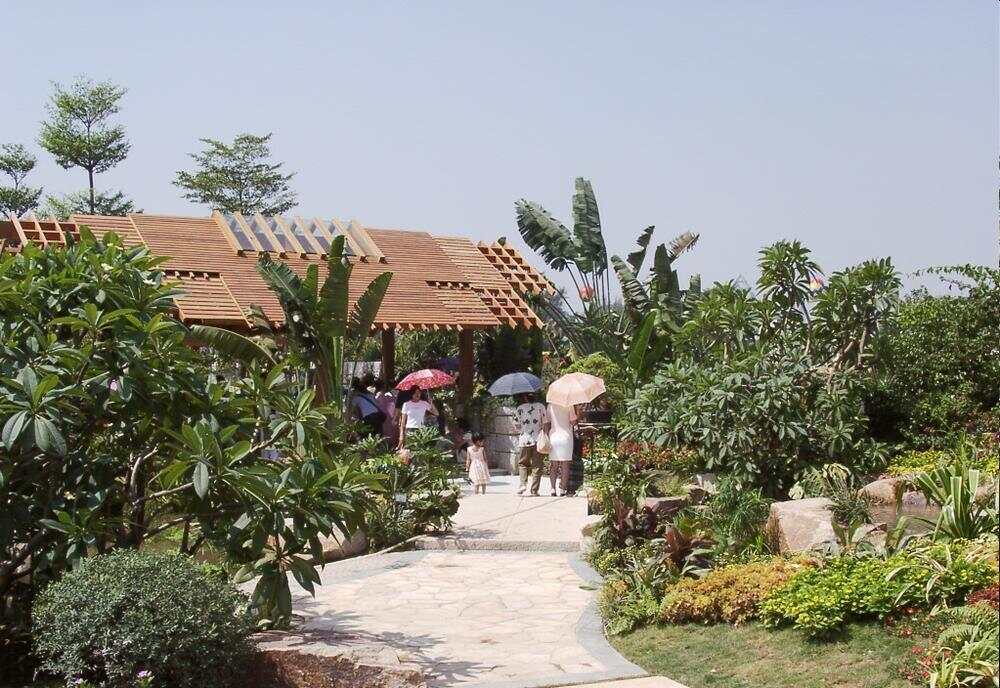 与城共生：跨越廿四载一座金奖园林的诞生与重生 珠园廿五载绿美谱新章(图4)