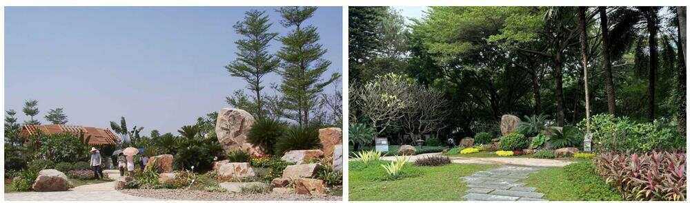 与城共生：跨越廿四载一座金奖园林的诞生与重生 珠园廿五载绿美谱新章(图7)