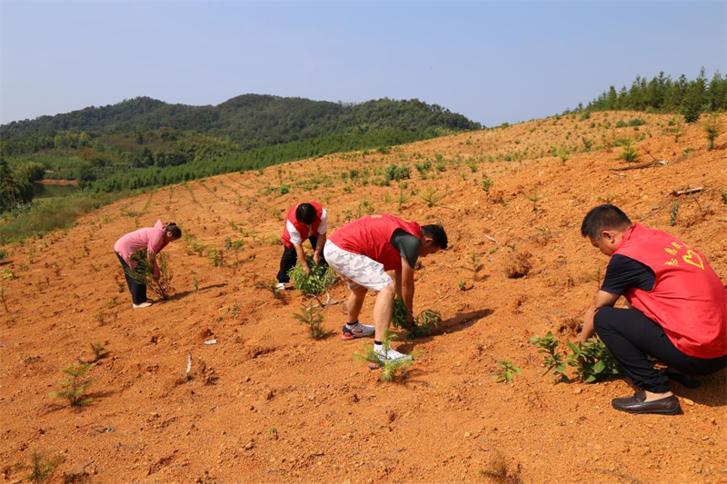 林地重生“绽新绿”生态富民“结硕果”(图3)