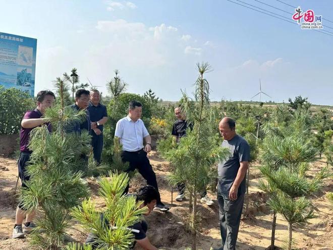 榆林市林业科学研究所刘生权三十余载治沙路(图1)