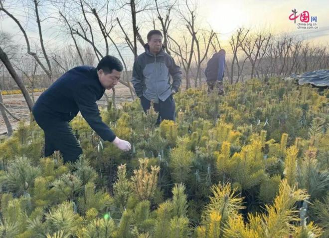 榆林市林业科学研究所刘生权三十余载治沙路(图3)