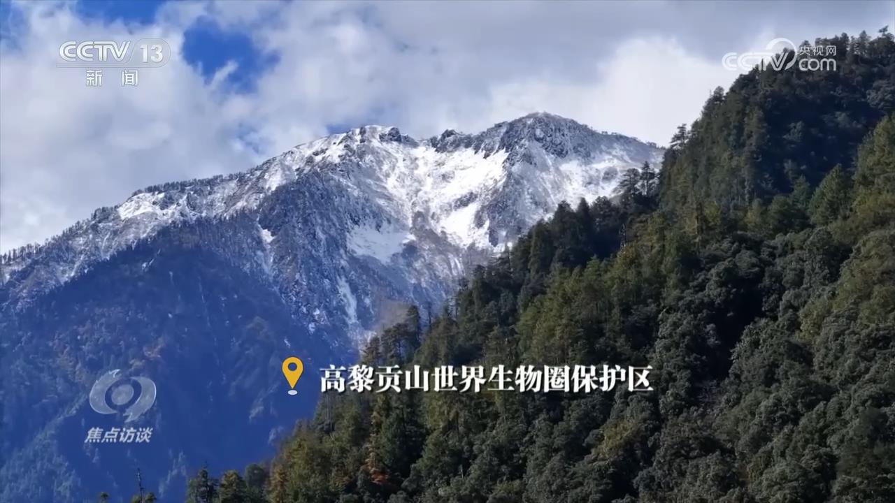 焦点访谈｜守护生态宝库 塑造人与自然可持续未来(图1)