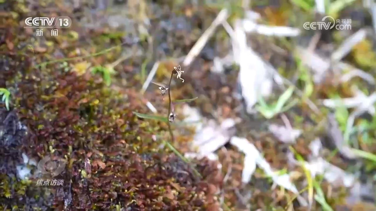 焦点访谈｜守护生态宝库 塑造人与自然可持续未来(图4)