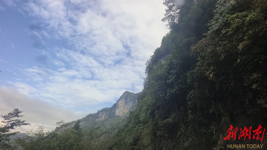 美文欣赏丨生态盎然桥自弯(图1)