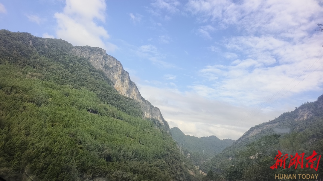 美文欣赏丨生态盎然桥自弯(图2)