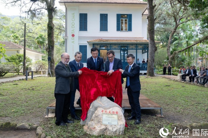 中巴“茶缘”续新篇(图1)