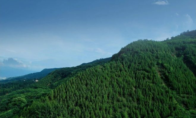 这个「长期主义」住宅创造西安品质生活新提案！(图3)